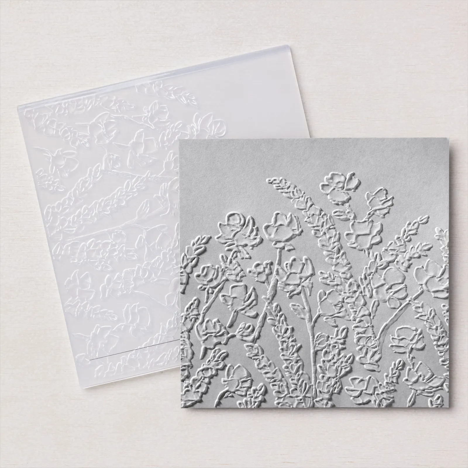 March 2022 Embossing Folder of the Month Preview & Tutorials