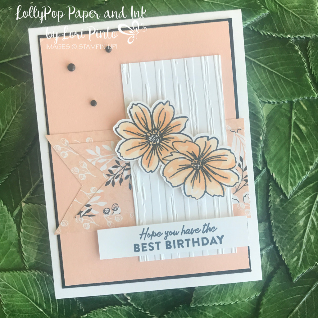 Birthday Card Class #2 - Sale-A-Bration Birthdays! - LollyPop Paper and Ink